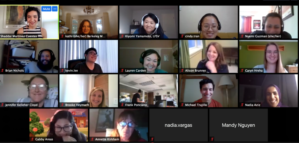 screen grab of online training participants